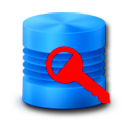 Database Password Recovery